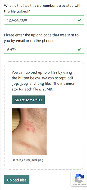 Screen capture of file ready to be uploaded to esfam.ca.